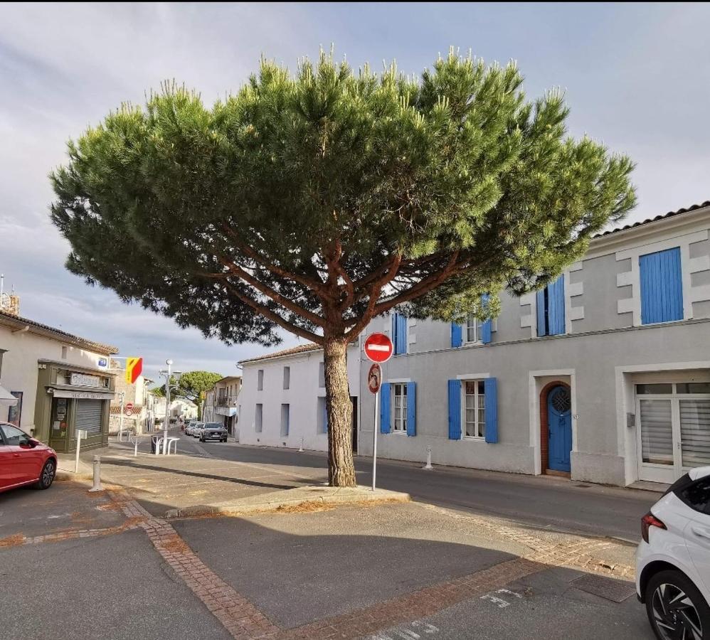 Charmant Appartement Dans Centre Meschers/Gironde 外观 照片